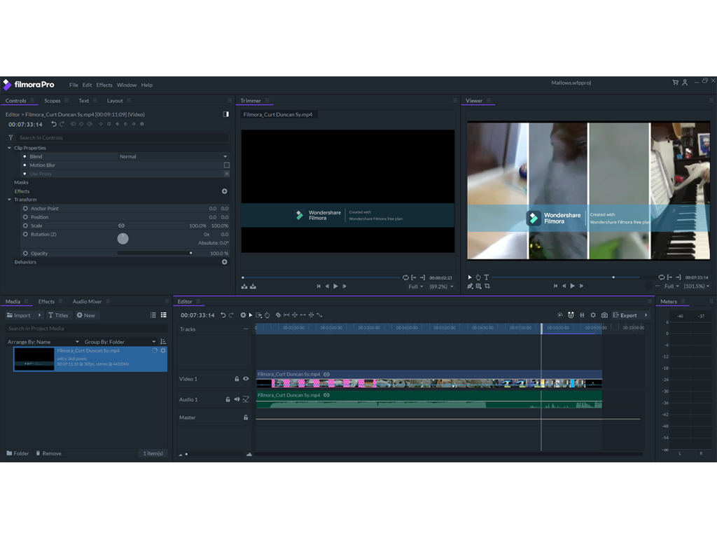 Video Editing with Filmora (Private Class)