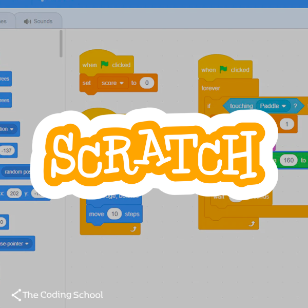 Intro to Coding Course: Coding 101 with Scratch for Ages 6+ – The ...